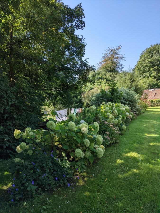 La Grange De Dourlers Bed & Breakfast Bagian luar foto